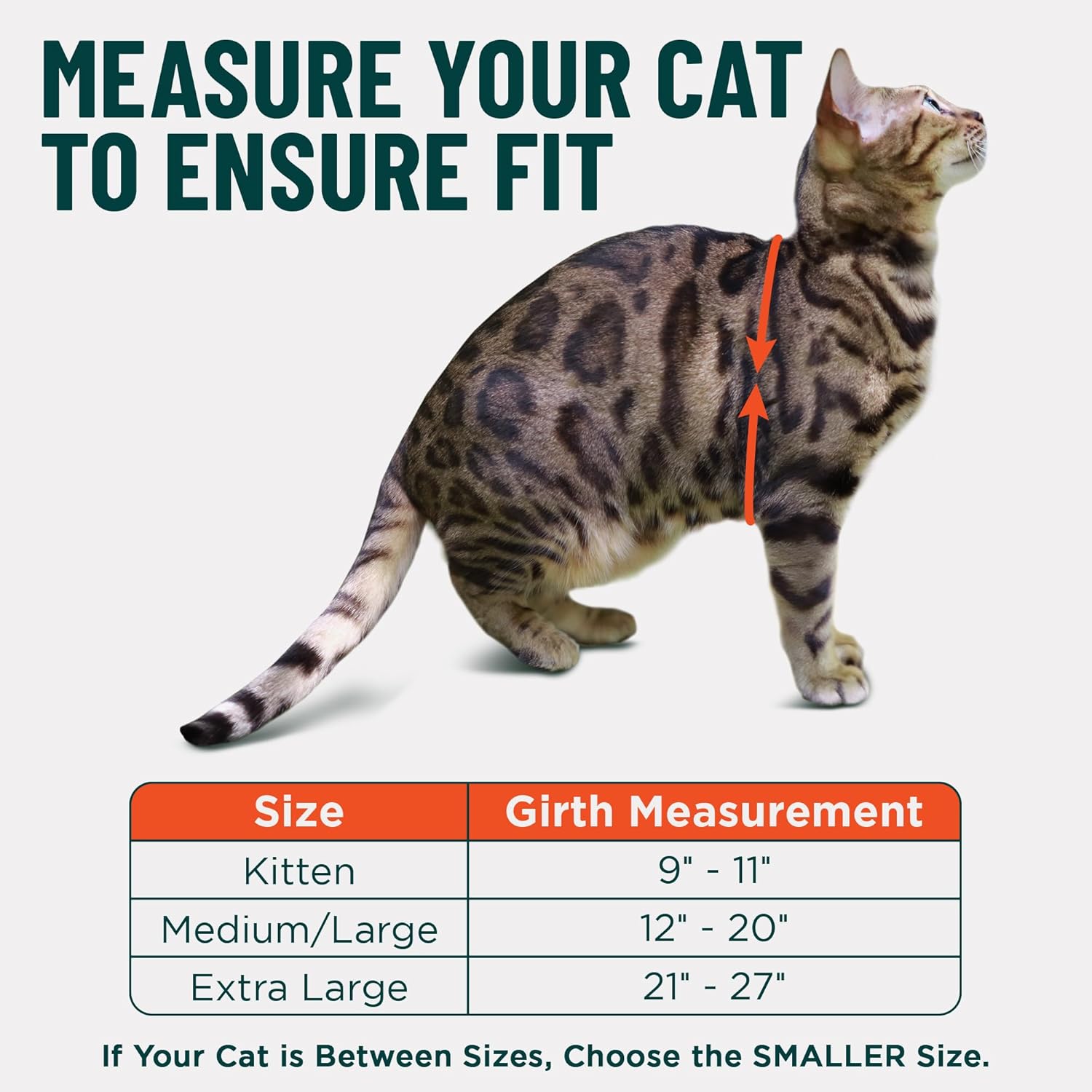 Houdini™ Escape Proof Cat Harness and Leash Set by OutdoorBengal – Black, Medium Cat Harness for Walking - Happypetzone.online - Image 5