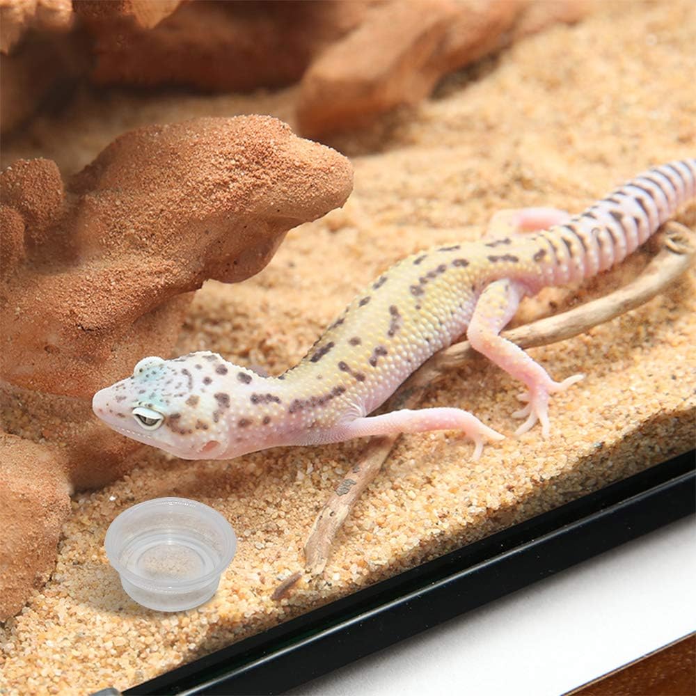 SLSON Small Gecko Food and Water Cups 100 ct Plastic Feeder Cups for Reptile Feeding Bowls for Crested Gecko Lizard and Other Small Pet, 0.5 oz - Happypetzone.online - Image 7