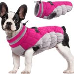 dog clothes winter