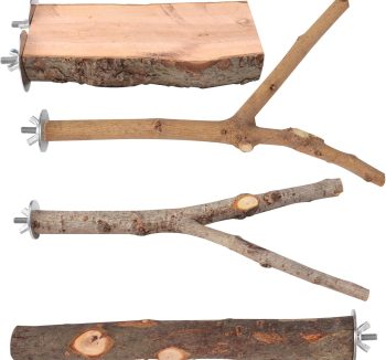 bird perch wood natural