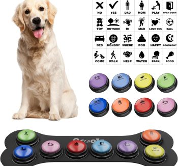 dog training clicker