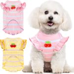 dog clothes cute