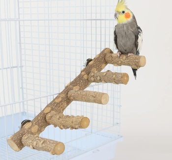 bird perch natural wood