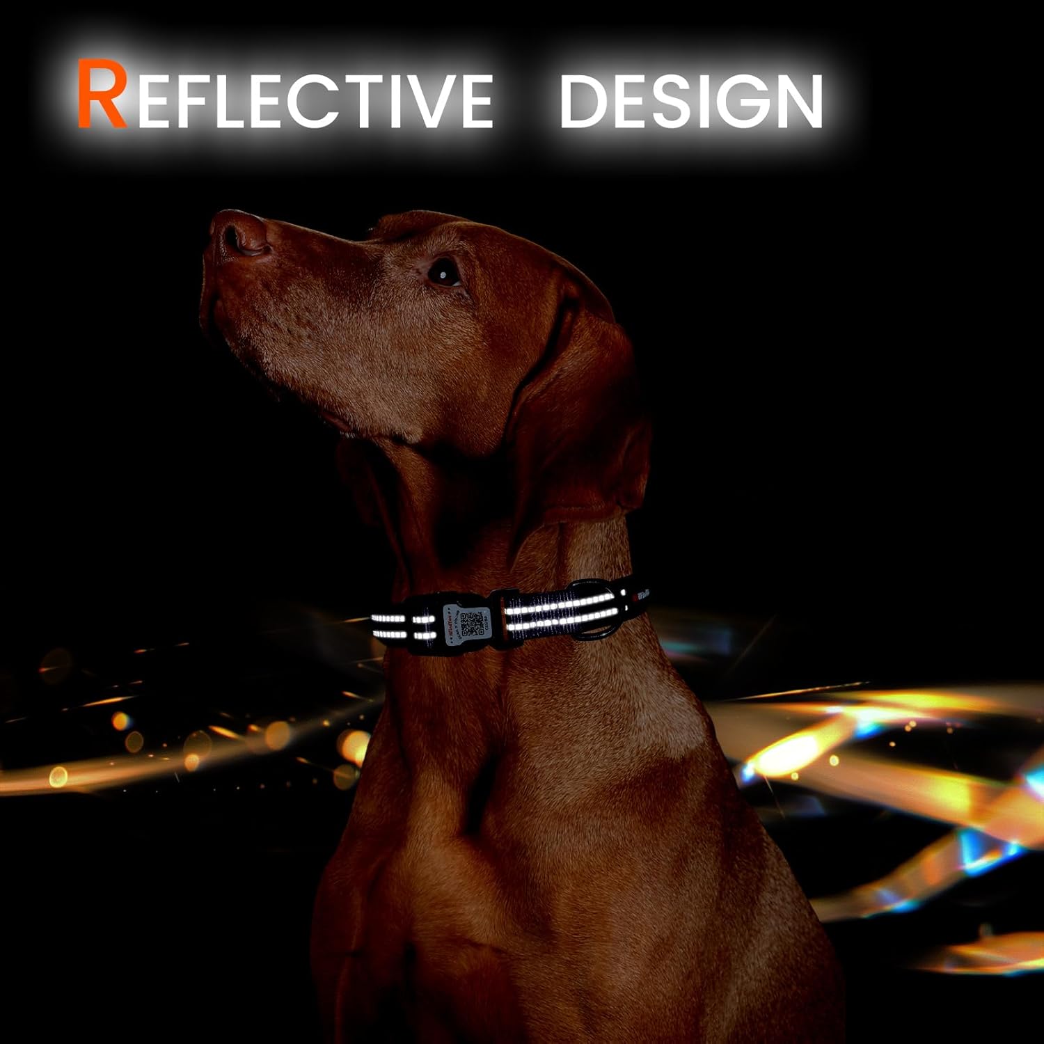 Reflective Dog Collar with QR Code Tag, Personalized Dog Collar, Safety Night Visibility, Anti-Loss Function (Purple, Medium) - Happypetzone.online - Image 6