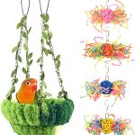 bird care essentials