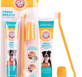 dog teeth cleaning kit