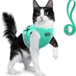cat harness for small cats