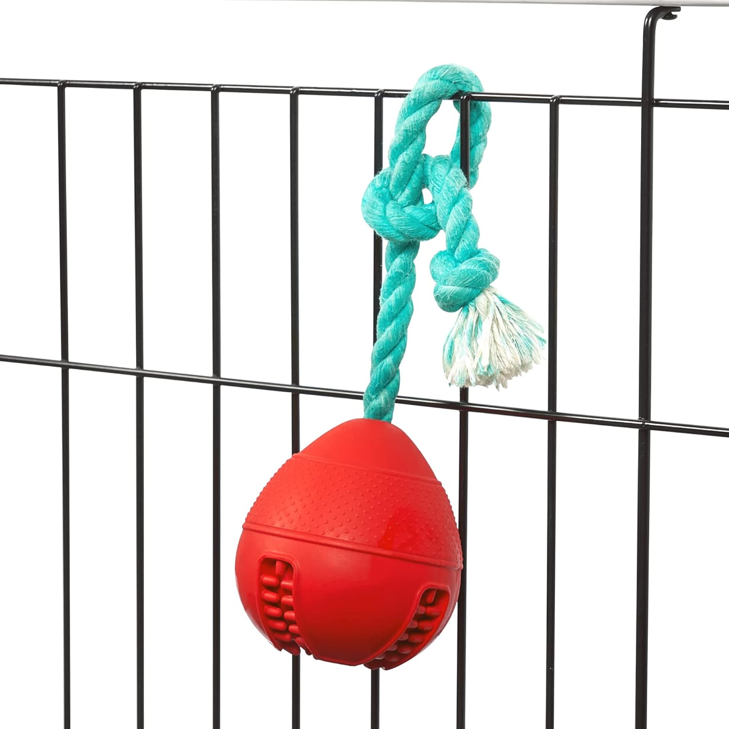 dog crate training tools