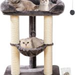 cat climbing furniture