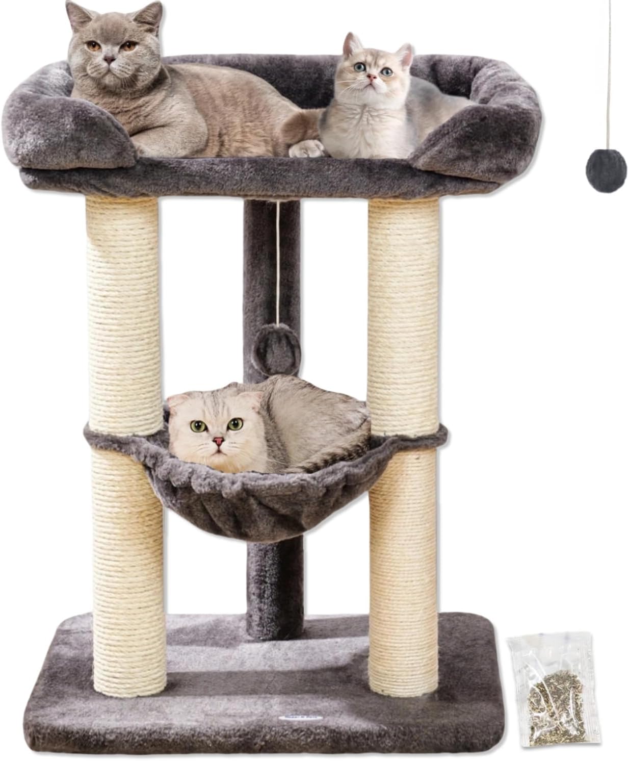 cat climbing furniture
