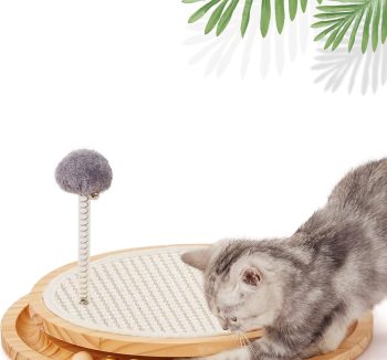 cat toys for kittens