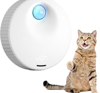 cat litter for odor removal