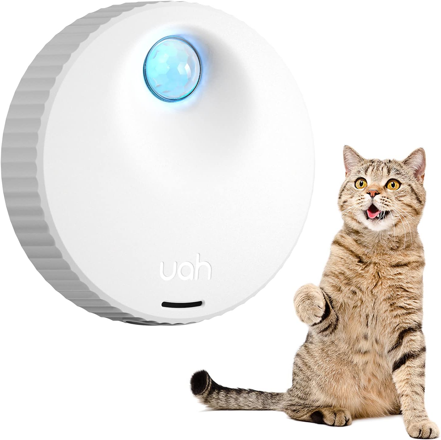 cat litter for odor removal