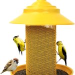 finch bird food