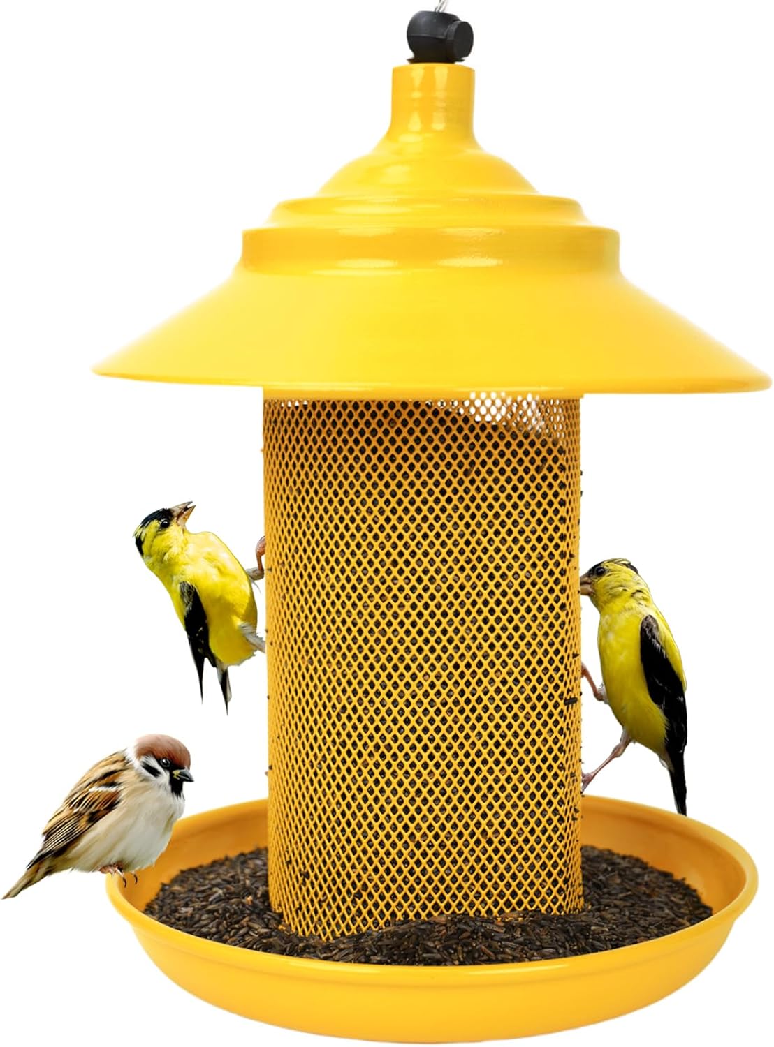 finch bird food