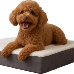 dog bed memory foam