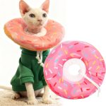 cat food for kittens