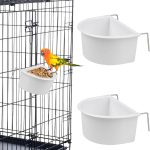 bird food for small birds