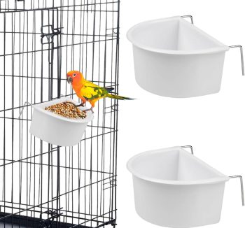 bird food for small birds