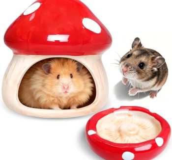 hamster cage multi level