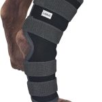 dog hip and joint care