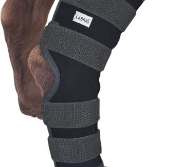 dog hip and joint care
