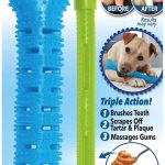 best dog chews for teeth