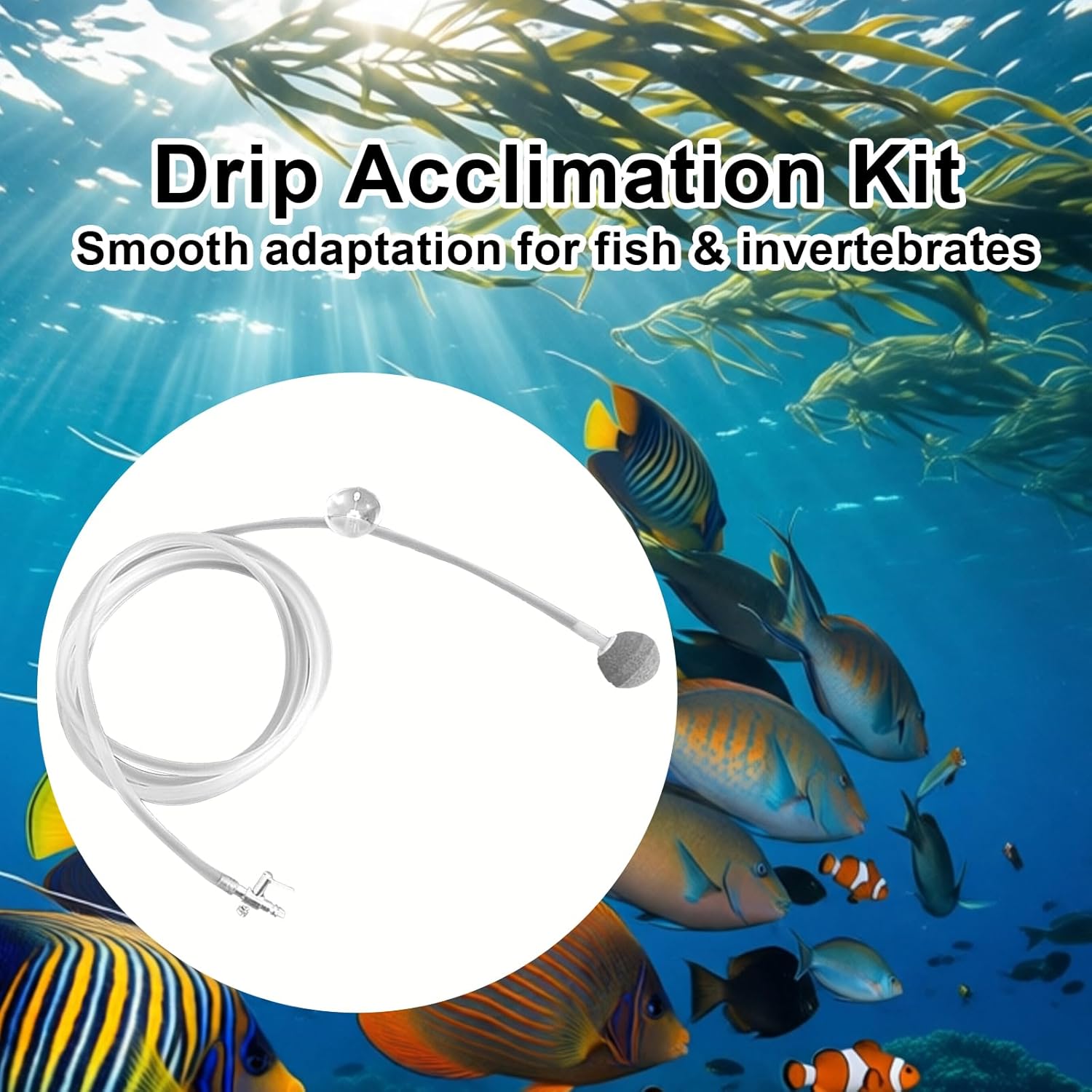 Drip Acclimation Kit for Aquarium, Adjustable Precision Slow Drip System to Reduce Stress, Prevent Osmotic Shock, Safe Acclimation for Shrimp, Fish - Happypetzone.online - Image 6
