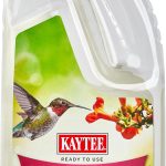 best bird food