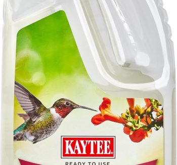 best bird food