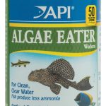 best fish food