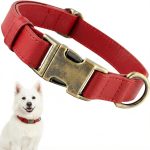 dog collar leather