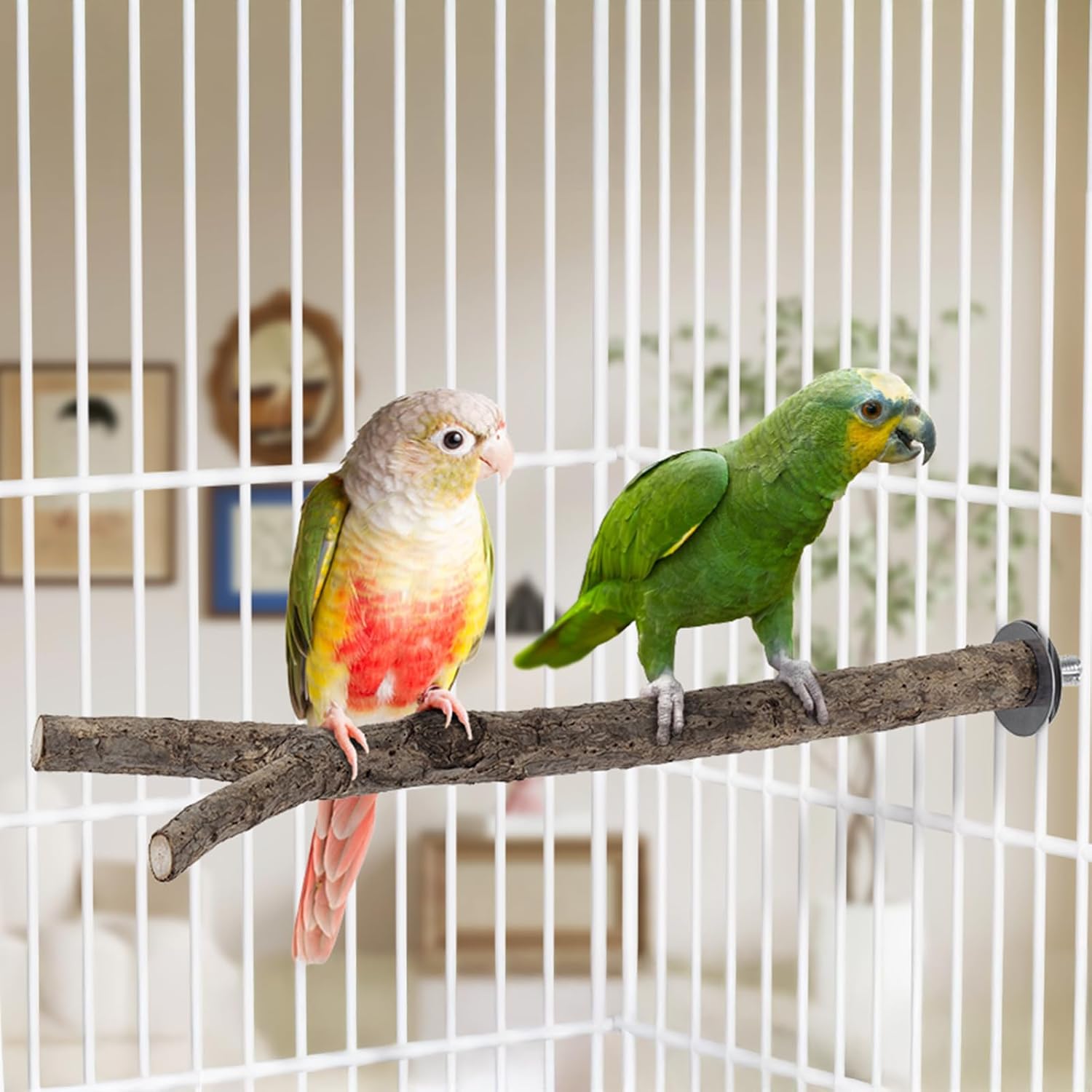 Niteangel Natural Wooden Perches for Bird Cages - Ideal for Cockatiels, Parakeets, Finches & Other Caged Birds (Natural Bark, 2 Pack) - Happypetzone.online - Image 7