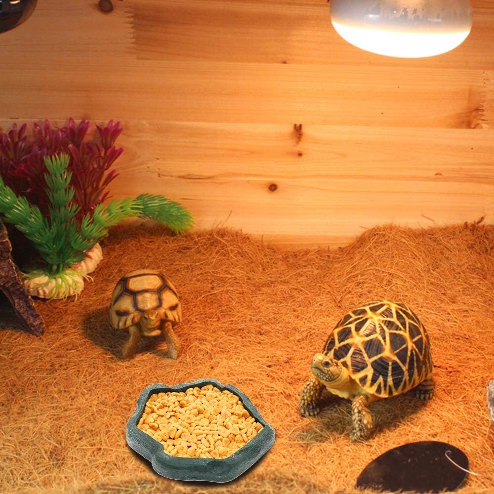 SLSON Small Reptile Feeder Terraium Bowl Plastic Shallow Reptile Feeder for Food and Water Feeding Dish for Lizard Gecko Junior Bearded Dragon,Small Green - Happypetzone.online - Image 2