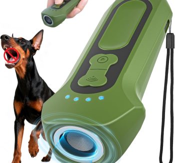 dog behavior correction tools