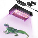 reptile lighting system