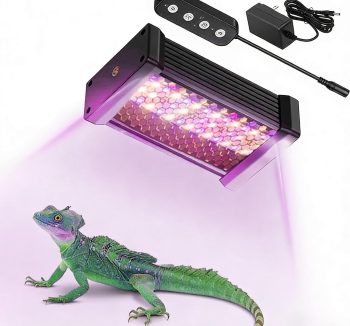 reptile lighting system