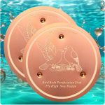 bird safe cleaning solution