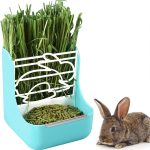 rabbit food hay timothy