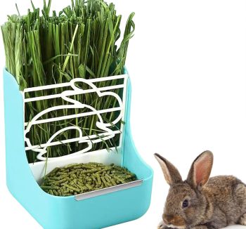 rabbit food hay timothy