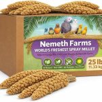 bird food seeds premium