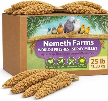 bird food seeds premium