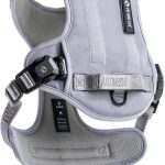 best dog harness for training