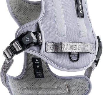 best dog harness for training