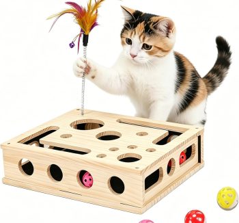 cat treats for kittens