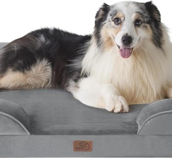 dog bed for big dogs