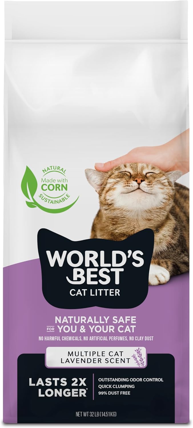 best cat litter