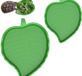 reptile feeding dish