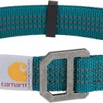 best dog collar