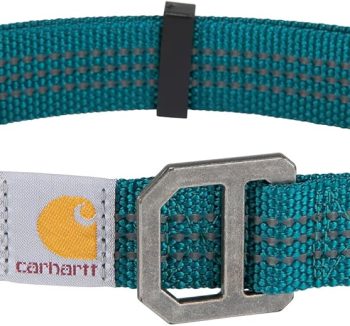 best dog collar